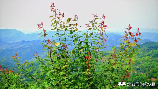彭州白水河——避暑休闲好地方