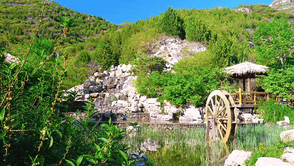 别白跑！舞彩浅山11月24日起闭园
