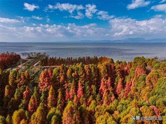 “红”爆！是谁还没有Get昆明的冬天？你知道12月的滇池有多绝？周末冲~