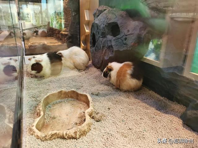 “双节”假期，在邳州过得真带劲！