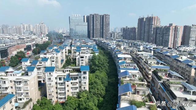 你好 东坡！| 东郊街：烟火与诗意交织的青春栖息地