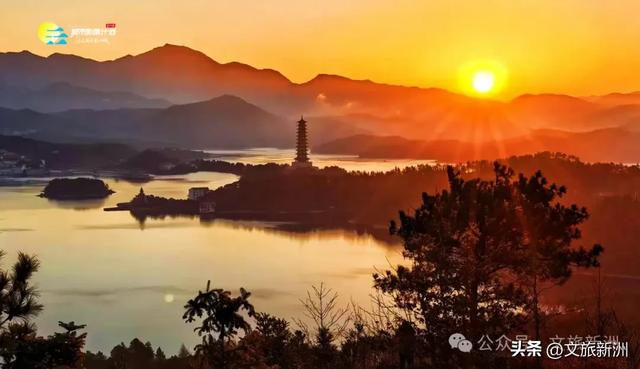 别去日本了！新洲的“同款”风景，美得更懂你