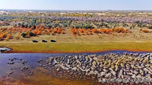 内蒙古杭锦旗：湿地秋景惹人醉
