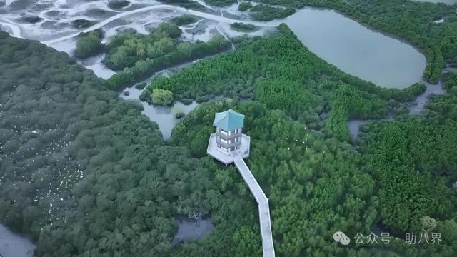 广东惠州十大打卡地（研学版）
