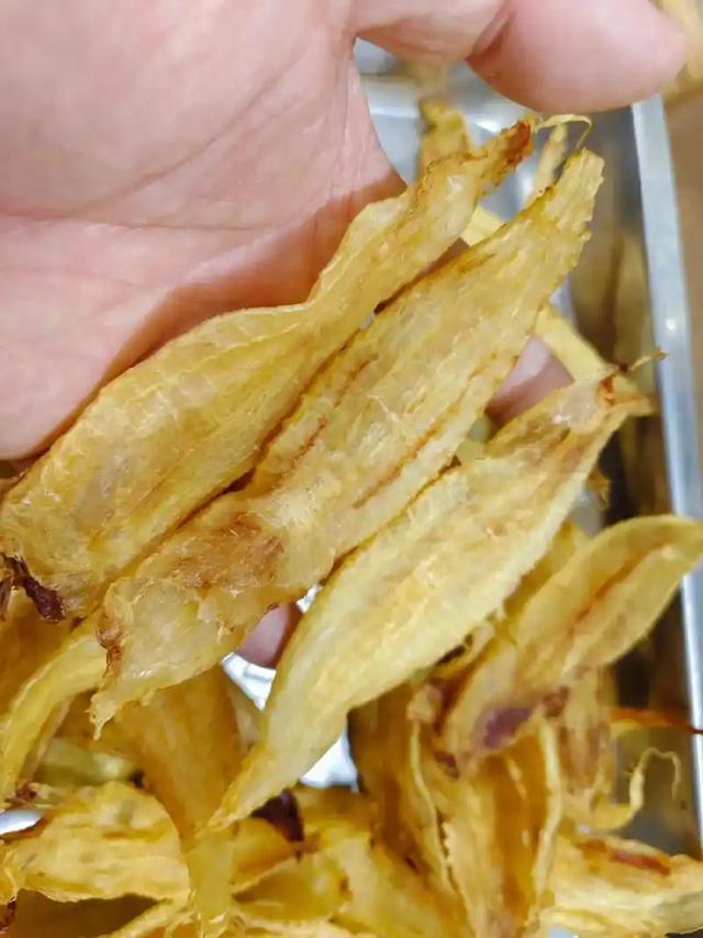 长长一条花胶 2025年一条花胶大约有多少克