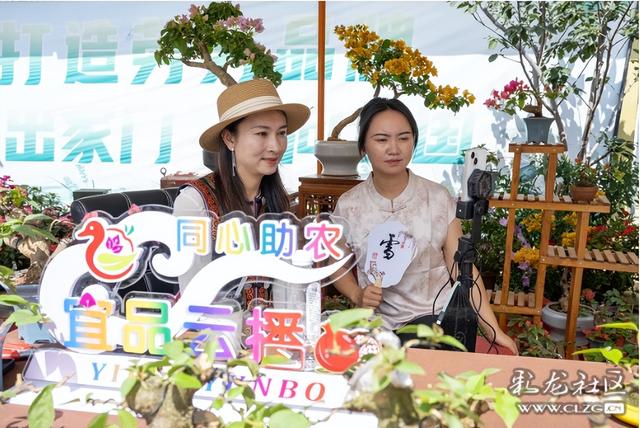 旅居云南·昆明好在（十二）山美水美物美，宜居宜游宜良