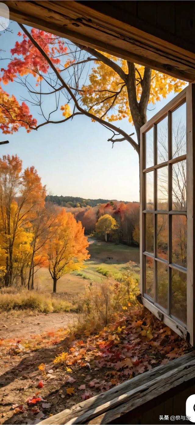 爱，是那碗深夜的醒酒汤