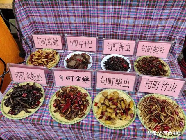 盛会带路 趣游百色丨来百色吧！让味蕾开启一场奇妙的旅行