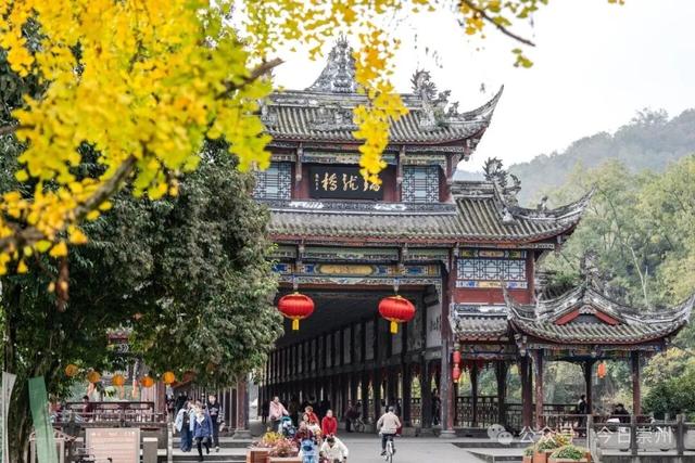 速来→崇州正上演初冬金色浪漫大片！