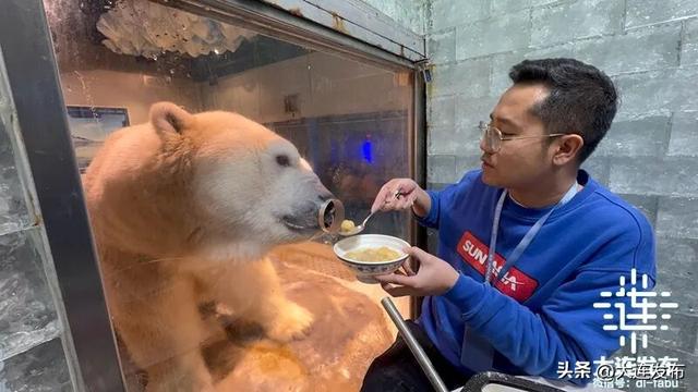 今天，在大连闹元宵！