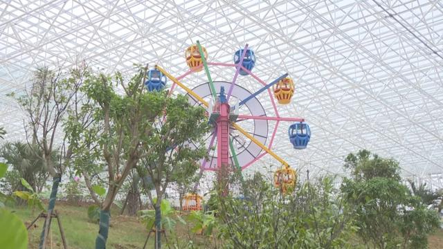 鹿泉：攻坚护航旅发大会！小三亚项目提前两月送电