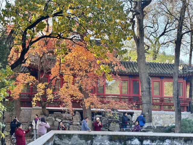 博物FUN | 大觉寺：千年古刹的禅意与新生