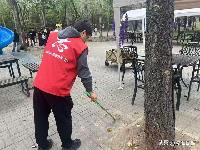 【文明旅游 从我做起】鸟岛用心传递“沈阳温度”