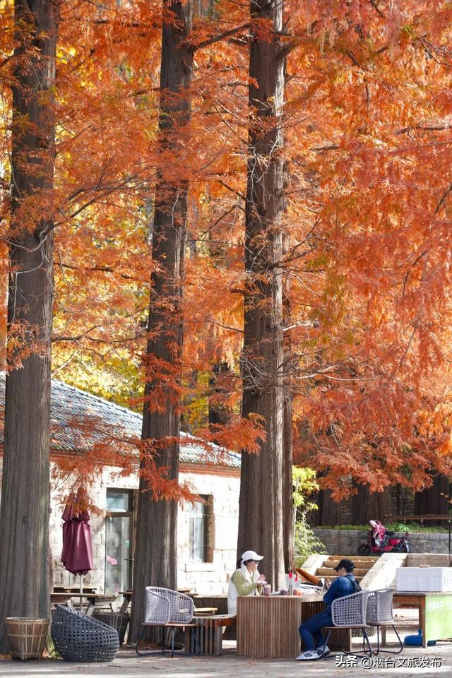 【乐游烟台】烟台绝美赏秋地即将封山，别错过