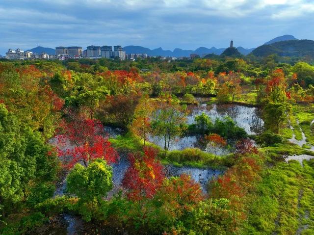 封神级美景!初冬的桂林,宛如上帝打翻的调色盘