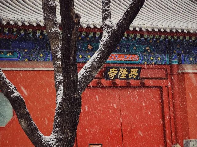 晒图！第一波丰台雪景大片——