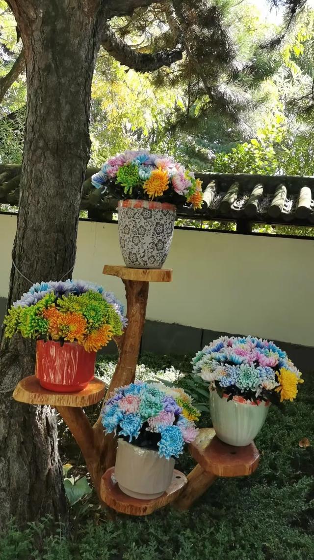 长春市动植物公园上新