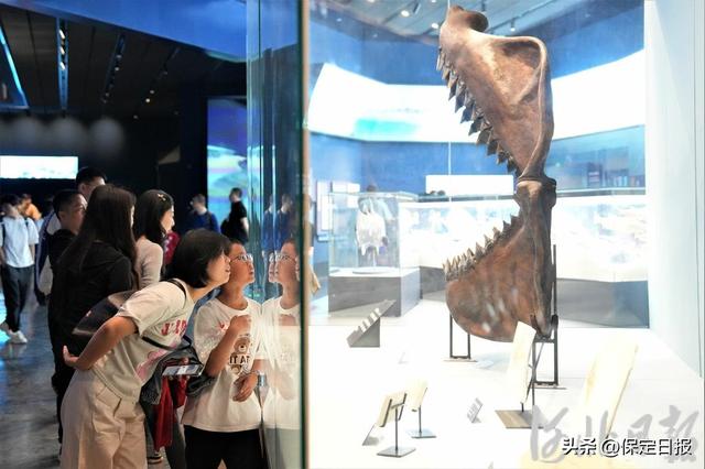 假期不宅家丨博物馆里有什么？这些神奇“宝藏”，等你探秘→