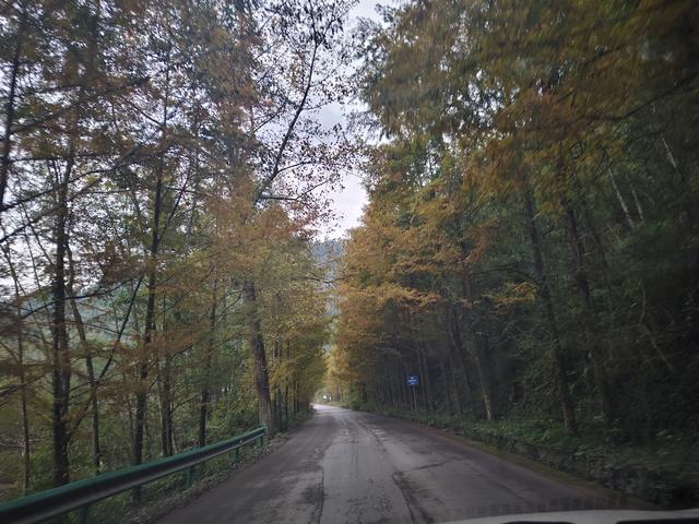 南行漫记：汉中南郑区到巴中恩阳区，9小时233公里的行走路书