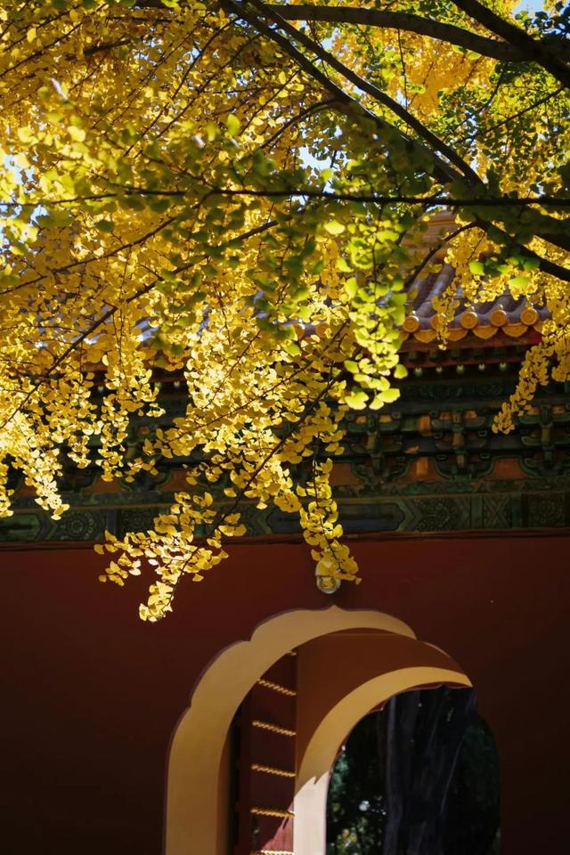 北京之秋便是天堂