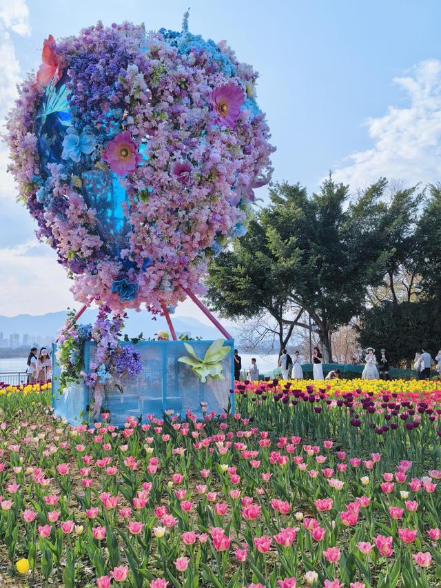 福州春日出游必打卡！农大沙滩公园的郁金香花海，美到令人藏不住