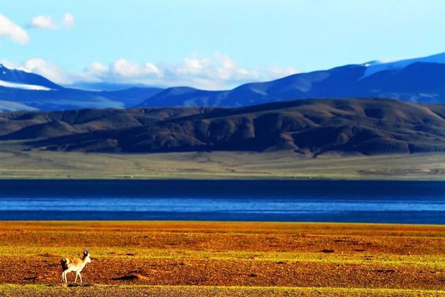 穿越阿里，才算真正到过西藏！万山之祖与百川之源在此相遇。