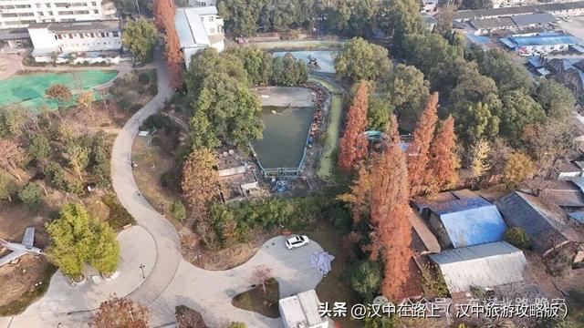 二〇二五年十二月七日，再去看看莲花池公园