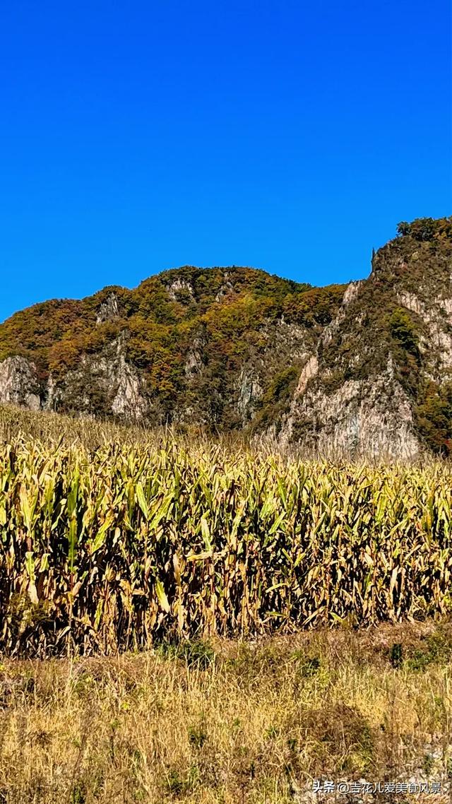 吉林长白山抚松秋韵~枫红映水伴云天