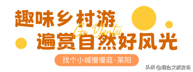 【乐游烟台】逛遍烟台，我最喜欢的慢节奏小城出现了→