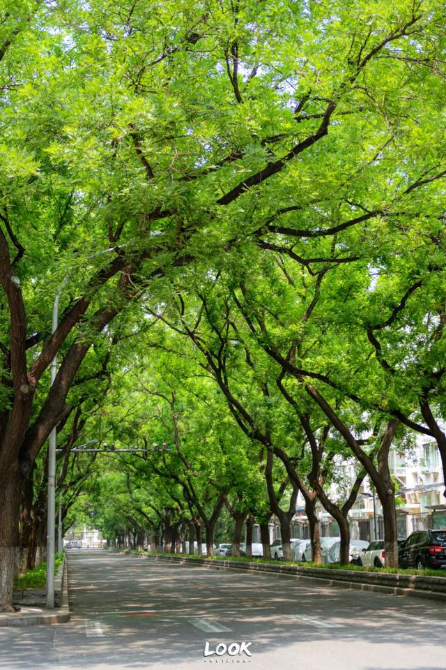 藏在二环内的小众公园 · 很多人都没来过