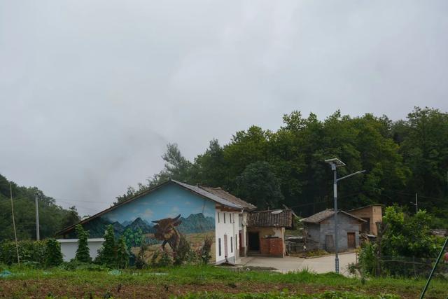 羊山，你是我心中的伊甸园