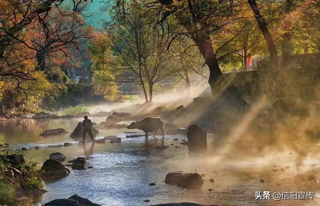 秋色正斑斓！信阳赏秋打卡地推荐