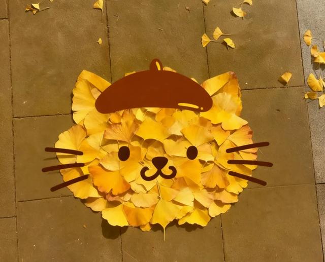 秋日限定|“落叶不扫”模式开启,44条景观道观赏指南请收藏!