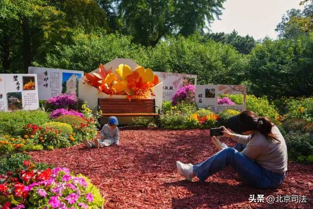 国庆中秋“趣”北京，超全游玩攻略→
