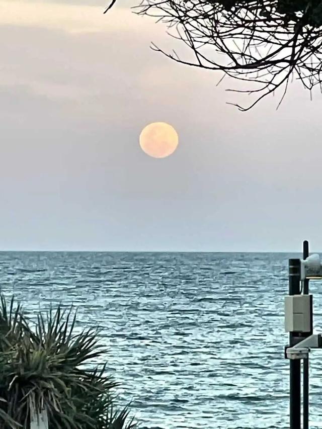 路上·布里斯班 ‖ 又出来赚小时来了