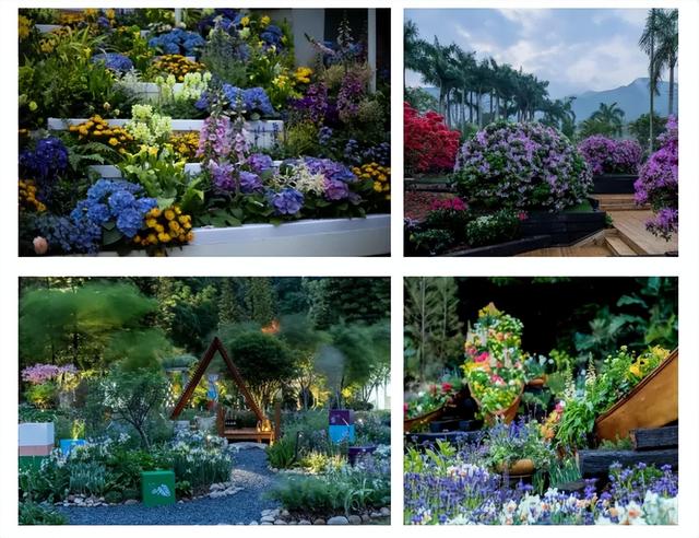 重磅！宝安迎春花市、新春花展要来啦！