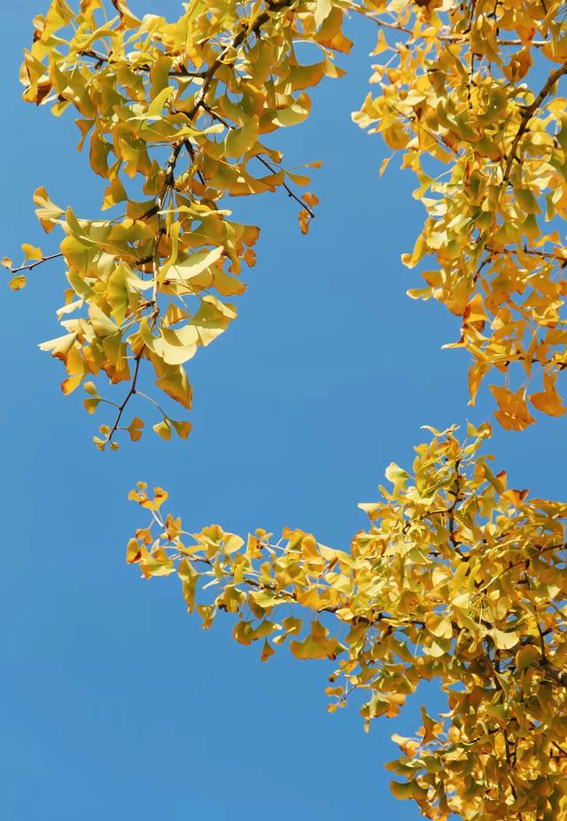 净化心灵的风景壁纸