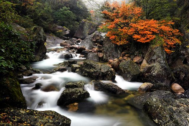 黄山翡翠谷秋韵，溪水映红叶，藏在山水间，一步一景皆是诗情画意