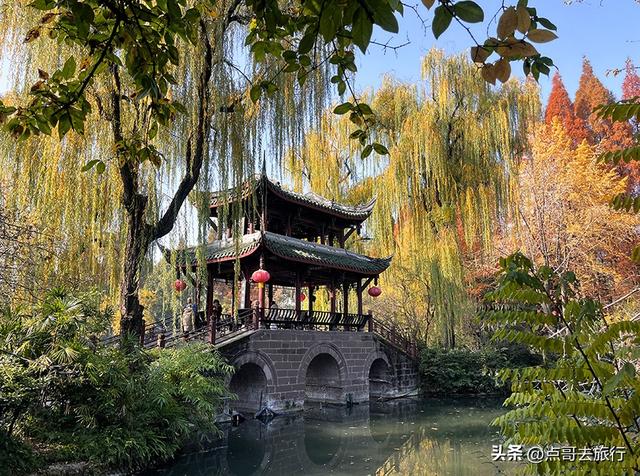 成都被私藏的彩林公园，流金溢彩，充满老城烟火气，地铁公交直达