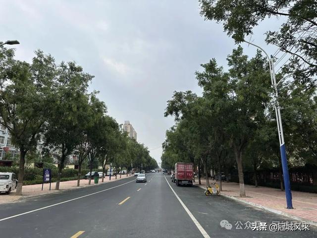 冠县印记·兴贸路