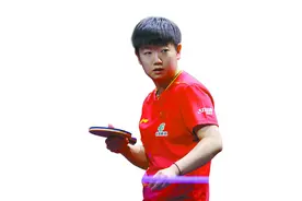 欧洲大满贯，国乒直面挑战图片