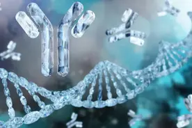 免疫五项：IgG、IgA、IgM、C3、C4的临床应用，建议收藏！图片