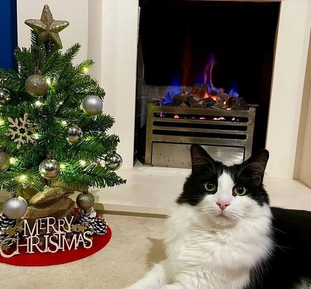 钱再多有什么用？64岁费翔不婚不育，终究为他“年少轻狂”买了单