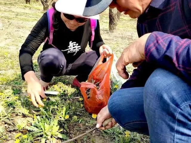 央视推荐！南太行15天避暑康养自驾线，50~70后值得一去！