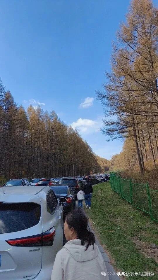 国庆节，逆行者堵死了通往景区的路