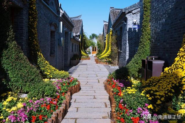 来了来了！南通秋天的仪式感