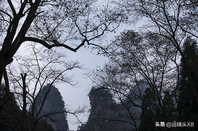 张家界国家森林公园的自然诗篇