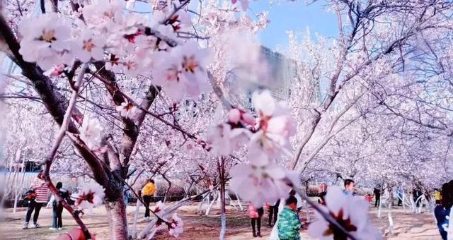 呼和浩特，2026必打卡！凭什么！