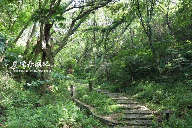 浙江宁波的小灵峰古道，连接着诸多古寺，不仅景美还很适合徒步