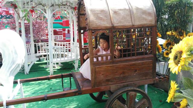 带着孙女去旅行（160）再见海南岛